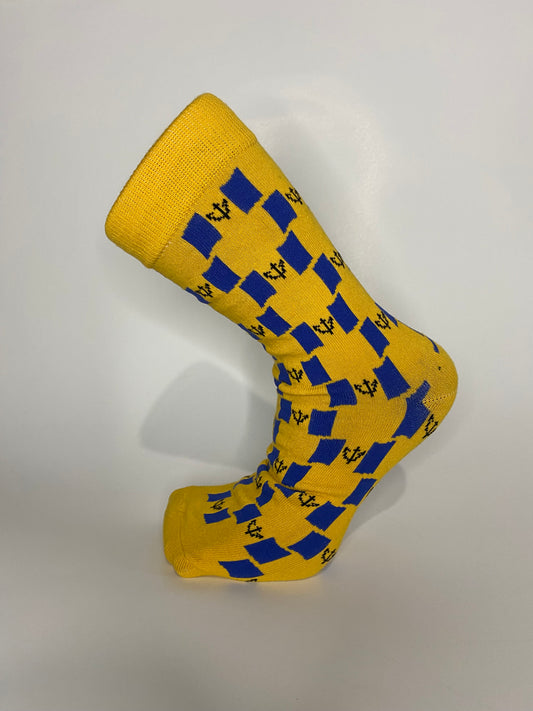 Barbados Flag Socks